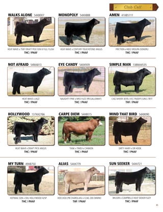 WALKS ALONE              54XB007               MONOPOLY            54XX888                AMEN      41XB5111




HEAT WAVE x 7587 DRAFT PICK SON X FULL FLUSH     HEAT WAVE x CENTURY TOUCHSTONE ANGUS         FRICTION x H832 KROUPA DONORU
               THC / PHAF                                     THC / PHAF                                THC / PHAF



NOT AFRAID           54MA813                   EYE CANDY          54XX939                 SIMPLE MAN           138MA4535




             HEAT WAVE x JAZZ                    NAUGHTY PINE x MISS FUZZ (PB GALLOWAY)    CAG SHIVER 301R x VCC PADDYS GIRLS 781T
               THC / PHAF                                     THC / PHAF                                THF / PHAF



HOLLYWOOD             137XX2766                 CARPE DIEM          54XB015               MIND THAT BIRD             54XB090




       HEAT WAVE x DRAFT PICK ANGUS                      TANK x TIMEX x CANNON                   DIRTY HAIRY x DR HOOK
               THC / PHAF                                     THC / PHAF                              THC / PHAF



MY TURN         49XB750                        ALIAS      54XX779                         SUN SEEKER          54XX721




  HOTMAIL SON x OHL HOLLYWOOD 425P             HOO DOO (PB CHAROLAIS) x CLNG 200 (WMW)     WILSON x CAMPBELLS HEAT SEEKER SUZY
             THC / PHAF                                     THF / PHAF                                 THC / PHAF
                                                                                                                                     85
 