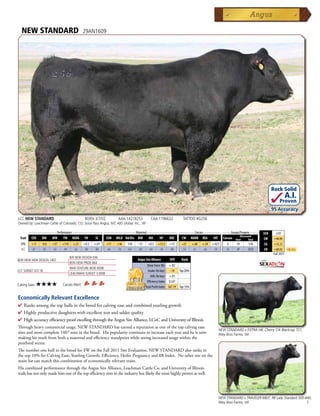 NEW STANDARD                                 29AN1609




                                                                                                                                                                                       Rock Solid
                                                                                                                                                                                                    A.I.
                                                                                                                                                                                            Proven
                                                                                                                                                                                       .95 Accuracy
LCC NEW STANDARD                                 BORN 3/7/02          AAA 14218253         CAA 1196632              TATTOO #G256
Owned by: Leachman Cattle of Colorado, CO; Sioux Pass Angus, MT; ABS Global, Inc., WI

          _______________ Performance ________________ _________________ Maternal ________________ ________ Carcass _________ ____ Groups/Progeny ____
                                                                                                                                                                                 $EN     -2.07
                                                                                                                                                                 Ultrasound
  Trait    CED    BW     WW    YW      RADG     YH     SC      CEM   MILK Hd/Dts MW       MH      HP     DOC       CW       MARB   REA     FAT     Carcass   Steer       Total   $W     +48.80
  EPD      +11    -0.6   +57   +114     +.21    +0.2   +.01    +11   +36   118   -15     +0.5    +13.3   +13       +27      +.60   +.54   +.023      4        19        518       $G    +32.22
  ACC      .87     .95   .92    .89      .62     .90    .89    .66   .76   342   .60      .60     .36    .80       .54       .61    .60    .59       16       37        1372      $B    +68.02      Top 25%
                                                                                                                                                                                        Fall 2011
                                      B/R NEW DESIGN 036
BON VIEW NEW DESIGN 1407                                                         Angus Sire Alliance      EPD      Rank
                                      BON VIEW PRIDE 664
                                                                                         Shear Force (lb) +.02
                                      WAR VENTURE 8030 6008
LCC SUNSET K3118                                                                          Intake (lb/day) -.14 Top 20%
                                      LEACHMAN SUNSET G3008
                                                                                            ADG (lb/day) +.01
                                                                                         Efficiency Index $3.87
Calving Ease:   ★★★★           Carcass Merit:
                                                                                        Total Profit Index $67.19 Top 15%


Economically Relevant Excellence
4  anksamongthetopbullsinthebreedforcalvingeaseandcombinedyearlinggrowth
  R
4 Highlyproductivedaughterswithexcellentteatandudderquality
4 HighaccuracyefficiencyproofexcellingthroughtheAngusSireAlliance,LCoCandUniversityofIllinois
Throughheavycommercialusage,NEWSTANDARDhasearnedareputationasoneofthetopcalvingease
                                                                                                                                                 NEW STANDARD x EXTRA H6, Cherry Crk Blackcap 721,
siresandmostcomplete1407sonsinthebreed.Hispopularitycontinuestoincreaseeachyearandheisnow                                   Riley Bros Farms, WI
makinghismarkfrombothamaternalandefficiencystandpointwhileseeingincreasedusagewithinthe
purebredsector.
Thenumberonebullinthebreedfor$WontheFall2011SireEvaluation,NEWSTANDARDalsoranksin
thetop10%forCalvingEase,YearlingGrowth,Efficiency,HeiferPregnancyand$BIndex.Noothersireonthe
mainlistcanmatchthiscombinationofeconomicallyrelevanttraits.
HiscombinedperformancethroughtheAngusSireAlliance,LeachmanCattleCo.andUniversityofIllinois
trailshasnotonlymadehimoneofthetopefficiencysiresintheindustrybutlikelythemosthighlyprovenaswell.




                                                                                                                                                 NEW STANDARD x TRAVELER 6807, RB Lady Standard 305-840,
                                                                                                                                                 Riley Bros Farms, WI                                7
 