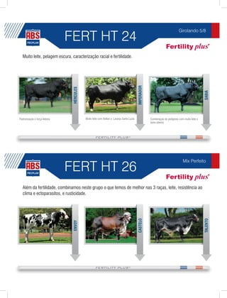 FERT HT 24
                                                                                                                               Girolando 5/8




   Muito leite, pelagem escura, caracterização racial e fertilidade.




                                                                                           IMPERADOR
                                 HÉRCULES




                                                                                                                                                   SABIÁ
Padronização e força leiteira               Muito leite com Bolton x Laranja Santa Luzia               Combinação de pedigrees com muito leite e
                                                                                                       bons úberes




                                FERT HT 26
                                                                                                                                   Mix Perfeito




   Além da fertilidade, combinamos neste grupo o que temos de melhor nas 3 raças, leite, resistência ao
   clima e ectoparasitos, e rusticidade.
                                                                                           CASTELO




                                                                                                                                                   TALENTO
                                 ENVOY
 