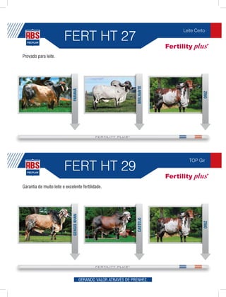 FERT HT 27
                                                                                    Leite Certo




Provado para leite.




                                                                        BRILHANTE
                              PARANÃ




                                                                                              ORIZ
                         FERT HT 29
                                                                                      TOP Gir




Garantia de muito leite e excelente fertilidade.
                              GENGIS KHAN




                                                                        CASTELO




                                                                                              ORIZ




                                            GERANDO VALOR ATRAVÉS DE PRENHEZ.
 