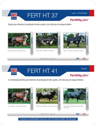 FERT HT 37
                                                                                                                                   Leite e Fertilidade




Opção para rebanhos de produção de leite a pasto, com alto grau de sangue holstein.




                                                                                                                                                               TORPEDO 3/4
                                                                                                   TALENTO 3/4
                                          CASTELO




Provado para leite e excelentes úberes              Melhor filho do Millenium (muito leite)                        Bolton x Quartinha (22.000 kg – 365 dias)




                                         FERT HT 41
                                                                                                                                                       Quality




A combinação perfeita para rebanhos de produção de leite a pasto, com alto grau de sangue holstein.
                                                                                                   IMPERADOR 5/8




                                                                                                                                                               SABIÁ 5/8
                                          CASTELO




Leite, pelagem , úberes e temperamento              Muito leite com Bolton x Laranja Santa Luzia                   Combinação de pedigrees com muito leite e
                                                                                                                   bons úberes




                        O DESAFIO DE EMPRENHAR VACAS DE LEITE NO VERÃO AGORA TEM SOLUÇÃO.
 