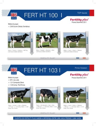 FERT HT 100 I
                                                                                                                            TOP Saúde



                                                                                                                 Provas Dezembro 2011
Média do grupo:
+ 2,66 Escore Células Somáticas




                                                                                                                                           BLACKOUT
                                                                                          REECE
                                         BURT




Aaron x Prescot x Leadman x Bell Troy            Mtoto x Rudolph x Blackstar x Mark               Boliver x Aaron x Duster x Bellwood
2,62 Escore Células Somáticas                    2,48 Escore Células Somáticas                    2,88 Escore Células Somáticas




                              FERT HT 103 I
                                                                                                                       Prime Holstein



Média do grupo:                                                                                                  Provas Dezembro 2011
+ 979 Lbs Leite
+ 1,31 Composto Úbere
+ 1,48 Comp. Pés/Pernas
                                                                                                                                           BLACKOUT
                                         MAPLE




                                                                                          DUFFY




Titanic x Durham x Adan x Blackstar              Titanic x Bw Marshall x Fatal x Elton            Boliver x Aaron x Duster x Bellwood
+777 Lbs / + 1,32 Comp. Úbere / + 2,00           +1392 Lbs / + 1,28 Comp. Úbere / +2,26           +769 Lbs / + 1,33 Comp. Úbere / + 0,19
Comp. Pés e Pernas                               Comp. Pés e Pernas                               Comp. Pés e Pernas




            CLIENTES DO FERTILITY PLUS SABEM A DIFERENÇA ENTRE UMA VACA PRENHE E UMA VAZIA.
 