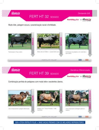 Girolando 5/8
                                             FERT HT 32                            SEXADO


Muito leite, pelagem escura, caracterização racial e fertilidade.




                                                                                                        IMPERADOR
                                              HÉRCULES




                                                                                                                                                                  SABIÁ
Padronização e Força Leiteira                            Muito Leite com Bolton x Laranja Santa Luzia                 Combinação de pedigrees com muito leite e
                                                                                                                      bons úberes




                                                                                                                               Genética Diferenciada
                                             FERT HT 39                            SEXADO


Combinação perfeita de pedigrees com muito leite e excelentes úberes.



                                                                                                                                                                  DIAMANTE TE DE BRASÍLIA
                                                                                                        GENGIS KHAN
                                              FALCON




Leite, temperamento e pelagem diferenciada               Pedigree com 7 Touros Provados + Mãe                         Leite comprovado na linhagem paterna e
                                                         Recordista                                                   materna




              GEN+ÉTICA FERTILITY PLUS = MAIS VACAS PRENHES COM OS MELHORES REPRODUTORES
 