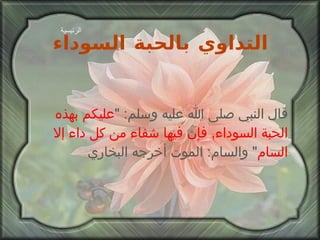 التداوي بالحبة السوداء قال النبي صلى الله عليه وسلم : " عليكم بهذه الحبة السوداء ,  فإن فيها شفاء من كل داء إلا السام "  والسام :  الموت أخرجه البخاري الرئيسية 