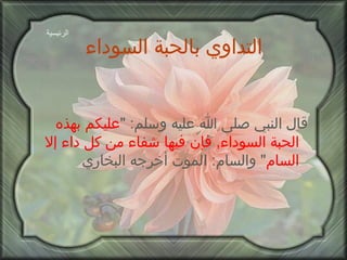 التداوي بالحبة السوداء قال النبي صلى الله عليه وسلم : " عليكم بهذه الحبة السوداء ,  فإن فيها شفاء من كل داء إلا السام "  والسام :  الموت أخرجه البخاري الرئيسية 