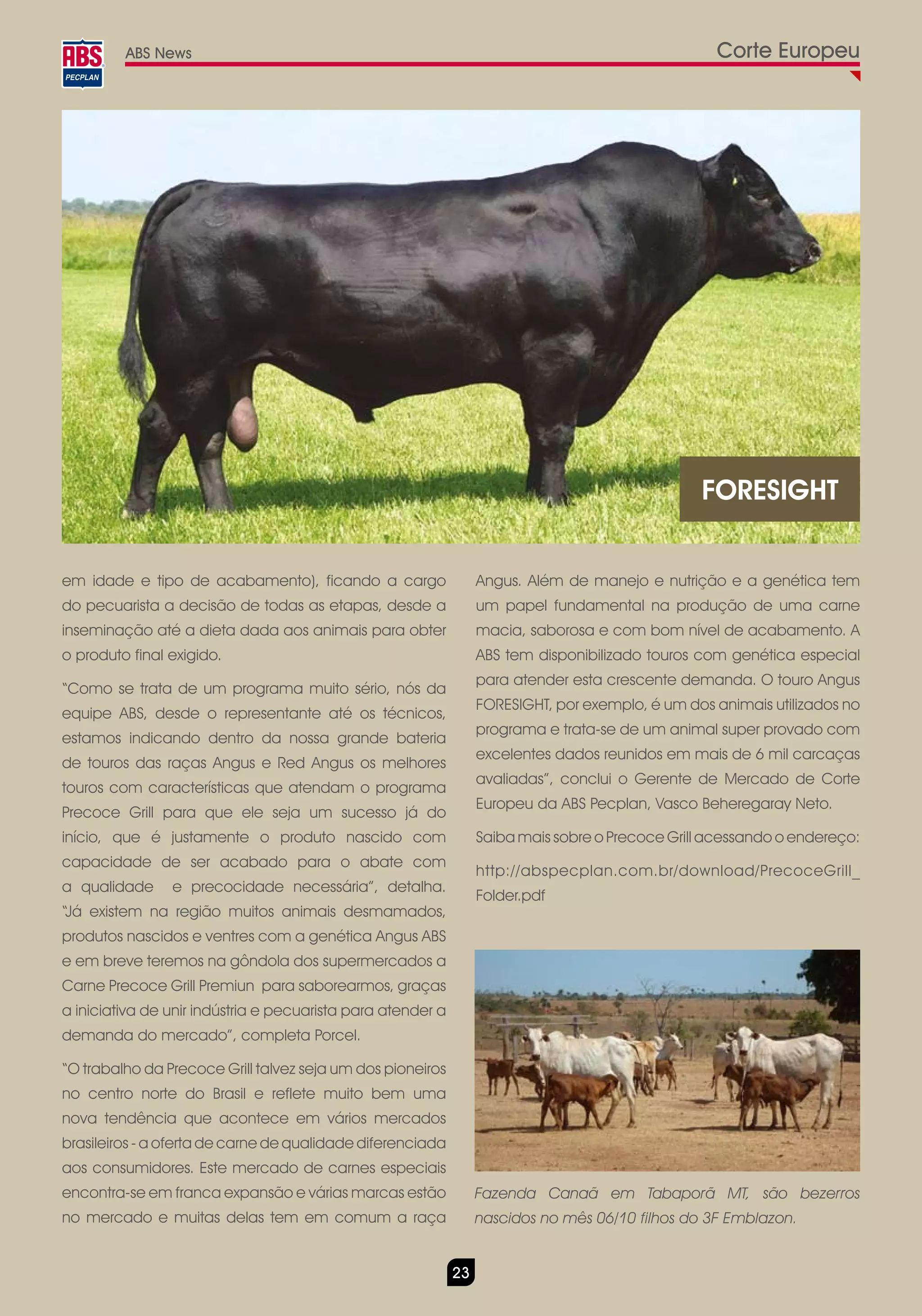 ABS News                                                                                  Corte Europeu




                                                                                                 FORESIGHT


em idade e tipo de acabamento), ficando a cargo                   Angus. Além de manejo e nutrição e a genética tem
do pecuarista a decisão de todas as etapas, desde a               um papel fundamental na produção de uma carne
inseminação até a dieta dada aos animais para obter               macia, saborosa e com bom nível de acabamento. A
o produto final exigido.                                          ABS tem disponibilizado touros com genética especial
                                                                  para atender esta crescente demanda. O touro Angus
“Como se trata de um programa muito sério, nós da
                                                                  FORESIGHT, por exemplo, é um dos animais utilizados no
equipe ABS, desde o representante até os técnicos,
                                                                  programa e trata-se de um animal super provado com
estamos indicando dentro da nossa grande bateria
                                                                  excelentes dados reunidos em mais de 6 mil carcaças
de touros das raças Angus e Red Angus os melhores
                                                                  avaliadas”, conclui o Gerente de Mercado de Corte
touros com características que atendam o programa
                                                                  Europeu da ABS Pecplan, Vasco Beheregaray Neto.
Precoce Grill para que ele seja um sucesso já do
início, que é justamente o produto nascido com                    Saiba mais sobre o Precoce Grill acessando o endereço:
capacidade de ser acabado para o abate com
                                                                  http://abspecplan.com.br/download/PrecoceGrill_
a qualidade     e precocidade necessária”, detalha.
                                                                  Folder.pdf
“Já existem na região muitos animais desmamados,
produtos nascidos e ventres com a genética Angus ABS
e em breve teremos na gôndola dos supermercados a
Carne Precoce Grill Premiun para saborearmos, graças
a iniciativa de unir indústria e pecuarista para atender a
demanda do mercado”, completa Porcel.

“O trabalho da Precoce Grill talvez seja um dos pioneiros
no centro norte do Brasil e reflete muito bem uma
nova tendência que acontece em vários mercados
brasileiros - a oferta de carne de qualidade diferenciada
aos consumidores. Este mercado de carnes especiais
encontra-se em franca expansão e várias marcas estão              Fazenda Canaã em Tabaporã MT, são bezerros
no mercado e muitas delas tem em comum a raça                     nascidos no mês 06/10 filhos do 3F Emblazon.


                                                             23
 