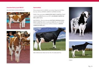 Greenlane Destry Laurel-RED-ET   Oportunidade

MELHOR FÊMEA JOVEM VB WDE 2011   Única empresa de IA no BRASIL com sêmen disponível de filhos
                                 das duas últimas GRANDE CAMPEÃ E SUPREMA DA WDE;

                                 FORCE- Filho da lendária HARVUE ROY FROST X SHOTTLE, FROST
                                 classificada EX96 filha do ícone ROY e BI-GRANDE CAMPEÃ DA
                                 WDE, 2009 E 2010;

                                 MASTERPIECE- Filho da milionária EASTSIDE LEWISDALE GOLD
                                 MISSY X SHOTTLE, MISSY classificada EX95 filha de GOLDWYN,
                                 comercializada por mais de um milhão de dólares e GRANDE
                                 CAMPEÃ DA WDE 2011;




                                 MÃE-HARVUE ROY FROST EX 96 X PAI- PICTSON SHOTTLE




                                                                                                FORCE




                                                                                                        Pág. 16
 