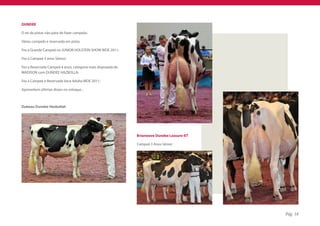 DUNDEE

O rei da pistas não pára de fazer campeãs;

Várias campeãs e reservada em pista;

Fez a Grande Campeã no JUNIOR HOLSTEIN SHOW WDE 2011;

Fez a Campeã 3 anos Sênior;

Fez a Reservada Campeã 4 anos, categoria mais disputada de
MADISON com DUNDEE HAZBOLLA;

Fez a Campeã e Reservada Vaca Adulta WDE 2011;

Aproveitem últimas doses no estoque...



Dubeau Dundee Hezbollah




                                                             Brianwave Dundee Leasure-ET

                                                             Campeã 3 Anos Sênior




                                                                                           Pág. 18
 