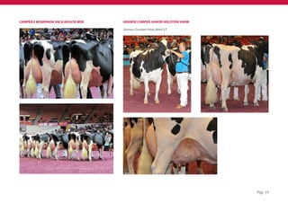 CAMPEÃ E RESERVADA VACA ADULTA WDE   GRANDE CAMPEÃ JUNIOR HOLSTEIN SHOW

                                     Siemers Dundee Hilda 8669-ET




                                                                          Pág. 19
 