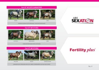Fert HT 40 LEITE GARANTIDO




  BÓRIS                           CASTELO                              ORIZ

          GArANtIA De MUItO LeIte (PrOVADOS) / eXCeLeNte FertILIDADe



                        Fert HT 48 FUTURA




CASTELO                          BRILHANTE                             ORIZ

                   A MeLHOr FertILIDADe COM O LeIte IDeAL



                        Fert HT 48 FUTURA




 FALCON                            DELTA                         GENGIS KHAN

LINHAGeNS QUe CONSeGUeM UNIr LeIte, ÚBere e teMPerAMeNtO NA rAÇA GIr LeIteIrO

                                                                                Pág. 22
 