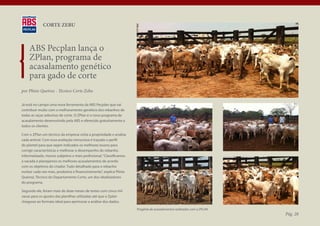 CORTE ZEBU



    ABS Pecplan lança o
    ZPlan, programa de
    acasalamento genético
    para gado de corte
por Plínio Queiroz - Técnico Corte Zebu

Já está no campo uma nova ferramenta da ABS Pecplan que vai
contribuir muito com o melhoramento genético dos rebanhos de
todas as raças zebuínas de corte. O ZPlan é o novo programa de
acasalamento desenvolvido pela ABS e oferecido gratuitamente a
todos os clientes.

Com o ZPlan um técnico da empresa visita a propriedade e analisa
cada animal. Com essa avaliação minuciosa é traçado o perfil
do plantel para que sejam indicados os melhores touros para
corrigir características e melhorar o desempenho do rebanho.
Informatizado, menos subjetivo e mais profissional. “Classificamos
a vacada e planejamos os melhores acasalamentos de acordo
com os objetivos do criador. Tudo detalhado para o rebanho
evoluir cada vez mais, produtiva e financeiramente”, explica Plínio
Queiroz, Técnico do Departamento Corte, um dos idealizadores
do programa.

Segundo ele, foram mais de doze meses de testes com cinco mil
vacas para os ajustes das planilhas utilizadas até que o Zplan
chegasse ao formato ideal para aprimorar a análise dos dados.
                                                                      Progênie de acasalamentos realizados com o ZPLAN
                                                                                                                         Pág. 28
 