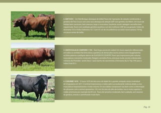 2. GAP E253 – Um Red Brangus destaque do leilão! Touro de 3 gerações de seleção combinando a
genética de Tres Cruces com uma vaca destaque da seleção GAP com genética do Kibon. Um touro de
biotipo bem carniceiro, bem precoce, largo e musculoso. Excelente racial e pelagem vermelha bem
requeimada. Touro com avaliação genética positiva e um dos melhores CEIP da sua geração. Índice de
desmama 10.5 e Índice Sobreano 10.7. Com 41 cm de circunferência escrotal o touro pesava 734 kg
um pouco antes do leilão.




3. SANTA EULALIA CAMPEIRO 1194 – Red Angus ponta do rodeio! Um touro especial e diferenciado
em todos os sentidos! Na linha baixa a genética de destacados touros pretos como Saugahatchee
na linha paterna o pedigree aberto de GLACIER HI COUNTRY. Touro que impressiona pelo volume,
musculatura e tamanho moderado. Pelagem vermelha firme, estrutura muito correta e destacados
números do Promebo sendo Deca 1 para Ganho do nascimento a Desmama (8,2) e Top 10% para o
Índice Final (9,1)




4. CARUMBE 1670 - O touro 1670 de dois anos de idade foi o grande campeão rústico individual
de Uruguaiana em 2011. O animal impressionou a todos pela sua exuberante nobreza aliada a uma
musculatura impressionante e muito volume. Os seus dados comprovam isso bem como a informação
de ultrassom com o animal apresentou 102 cm2 de área de olho de lombro. Isso é muito superior a
média americana por exemplo de 87cm2. Touro de tamanho moderado, bem acabado, sem excesso
de gordura, enxuto e caminhando muito bem.




                                                                                                 Pág. 26
 