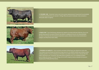 5. CARUMBE 1608 – Animal de 3 anos e com uma carcaça impressionante. Excepcional musculosidade
e caminha tranquilamente com mais de 1.150 kgs. Pêlo curto, porte moderado, muito comprido e
destacados dados no Igenity.




6. RINGO STAR – Touro Red Brangus destaque da Cabanha Carumbé de Ricardo Tellechea. Touro com
grande desempenho nas pistas do Brasil e que oferece o pedigree de Yacaré, sem disponibilidade
de sêmen. Touro dono de uma estrutura impecável, ossatura robusta, muito correto racialmente e
pelagem vermelha firme e bem sólida.




7. INHANDUI 453 IMPACTO – Outro excelente exemplar de Red Angus que adquirimos nesta safra.
Touro dupla marca da Seleção da Querência Angus que tem um trabalho voltado para seleção usando
avaliação genética. O touro é destaque no Promebo e seus dados chamam muito a atenção: Elevado
índice a desmama com 15.8 pontos, alto índice final no sobreano com 15.5 e destaque também
para os dados de carcaça 11.5. Com 750 kgs e 44 cm de PE, Impacto chamou atenção da Assessoria
Agropecuária FFVelloso& Dimas Rocha.




                                                                                                 Pág. 27
 