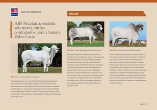 NOVOS TOUROS
                                                                   NELORE


    ABS Pecplan apresenta
    seis novos touros
    contratados para a bateria
    Zebu Corte

                                                                  Erroso - Neide Biagi Pagnano Outros/Cond.        Vencius - Ricardo de Andrade Gouveia
                                                                  Representante da linhagem do Instituto de        Uma combinação perfeita de sangue. Vencius
                                                                  Zootecnia de Sertãozinho, que é nacionalmente    é fruto do acasalamento de Oficial na Sinfonia
                                                                  reconhecida pela sua rusticidade, fertilidade    RG, portanto neto do renomado Pacote RG.
                                                                  e desenvolvimento. Animal que se destaca         Reprodutor que vem fazer história no Nelore
                                                                  pelo seu biotipo bastante funcional, animal de   Mocho, pois apresenta uma carcaça moderna
                                                                  costelas compridas e muito bem arqueadas,        e expressão racial diferenciada, transmitindo
                                                                  ossatura forte, aprumos corretos, pelagem        100% de caráter mocho aos seus descendentes.
                                                                  uniforme e ótimo volume de musculatura em        Animal do criatório de Ricardo Gouveia, uma
                                                                  sua carcaça. Além de ser opção de sangue para    seleção respeitada no cenário nacional, aliando
Alecrim - Carlos Eduardo A. Novaes                                a maioria dos acasalamentos e cruzamentos        raça a números. Touro jovem e com destaque
Filho de Lambisco em matriz Manah Mistério duas linhagens         em larga escala, Erroso é destaque absoluto      para as características maternais e performance
de excelentes características produtivas. Animal jovem que        na avaliação genética do IZ, sendo líder no      de crescimento.
possui ótima caracterização racial, musculatura forte e medidas   Sumário 2010.
equilibradas em sua carcaça. Seu pai provém de uma linhagem
de alta habilidade materna, sendo uma das características mais
importantes para selecionar na atualidade. Linhagem aberta para
o mercado atual.



                                                                                                                                                         Pág. 29
 