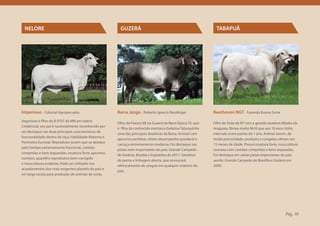 NELORE                                                GUZERÁ                                                TABAPUÃ




Imperioso - Colonial Agropecuária                     Barra Jango - Roberto Ignacio Neszlinger              Beethoven NGT - Fazenda Buona Sorte
Imperioso é filho de B 9707 da MN em matriz
                                                      Filho de Franco EB na Guzerá da Barra Época TE, que   Filho de Dote da EP com a grande doadora Ribalta da
Credencial, seu pai é nacionalmente reconhecido por
                                                      é filha da conhecida matriarca Gelatina Taboquinha    Araguaia, fêmea muito fértil que aos 16 anos tinha
ser destaque nas duas principais características de
                                                      uma das principais doadoras da Barra. Animal com      intervalo entre partos de 1 ano. Animal Jovem, de
funcionalidade dentro da raça: Habilidade Materna e
                                                      aprumos perfeitos, ótimo desempenho ponderal e        muita precocidade, produziu e congelou sêmen aos
Perímetro Escrotal. Reprodutor jovem que se destaca
                                                      carcaça extremamente moderna. Foi destaque nas        15 meses de idade. Possui ossatura forte, musculatura
pelo biotipo extremamente funcional, costelas
                                                      pistas mais importantes do país: Grande Campeão       convexa com costelas compridas e bem arqueadas.
compridas e bem arqueadas, ossatura forte, aprumos
                                                      de Goiânia, Brasília e Expozebu de 2011. Genética     Foi destaque em várias pistas importantes do país
corretos, aparelho reprodutivo bem corrigido
                                                      de ponta e linhagem aberta, que provocará             sendo: Grande Campeão de Brasíllia e Goiânia em
e musculatura evidente. Pode ser utilizado nos
                                                      refrescamento de sangue em qualquer criatório do      2009.
acasalamentos dos mais exigentes plantéis do país e
                                                      país.
em larga escala para produção de animais de corte.




                                                                                                                                                         Pág. 30
 