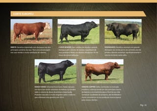 CORTE EUROPEU




RIBEYE: Genética importada com destaque nos dois          CURVE BENDER: Sem sombra de dúvida o grande                DESENHADO: Genética nacional com grande
principais sumários da raça. Teve uma alavancagem         destaque pelo volume de vendas e qualidade de              destaque nas vendas já no seu primeiro ano de
nas suas vendas e muita satisfação de clientes.           seus produtos! Neste ano deverá ultrapassar 70 mil         vendas e deverá aumentar significativamente o
                                                          doses de comercialização.                                  volume de doses nesta safra.




                             RANCH HAND: Simental Americano. Nada mal para             DAKOTA COPPER: Velho conhecido no mercado
                             um touro que recém estreioou na bateria e já vendeu       brasileiro, continua sendo um dos principais touros
                             todo o volume de doses da primeira importação.            da bateria e se encaminha para o final da sua vida
                             Produtos nascidos e muito elogiados pelos criadores       comercial. Qualidade de produtos, alta fertilidade e
                             que utilizaram esta genética em 2010.                     muita consistência na sua produção marcou época
                                                                                       para nossos clientes.

                                                                                                                                                                Pág. 34
 