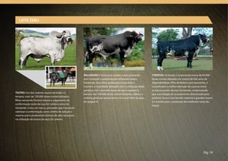 LEITE ZEBU




                                                     MILLENIUM: O touro que mudou a raça, provando             TORPEDO: Já atingiu a importante marca de 85.000
                                                     que é possível a padronização utilizando touros           doses comercializadas em menos de três anos de
                                                     Girolando. Suas filhas produzem muito leite e             disponibilidade. Filho de Bolton com Quartinha, é
                                                     mantém a rusticidade desejada com a utilização desta      considerado o melhor exemplo de sucesso entre
                                                     genética. Foi o primeiro touro da raça a quebrar a        os touros jovens da raça Girolando, comprovando
TEATRO: Um dos maiores touros de todos os
                                                     barreira das 100.000 doses comercializadas, liderou o     que a estratégia de acasalamento direcionado para
tempos, mais de 130.000 doses comercializadas,
                                                     ranking geral por quatro anos e é o atual líder do grau   produzir touros com família materna e grandes touros
filhas vencendo Torneio leiteiro e julgamento de
                                                     de sangue ¾.                                              é o correto para a produção das melhores vacas do
conformação tanto da raça Gir Leiteiro como do
                                                                                                               futuro.
Girolando. Criou um marco, provando que é possível
valorizar a conformação como critério de seleção e
mesmo assim produzindo animais de altas lactações
na utilização de touros da raça Gir Leiteiro.




                                                                                                                                                           Pág. 39
 