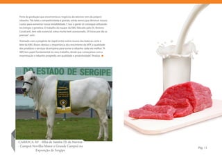 Parte da produção que movimenta os negócios do laticínio vem do próprio
rebanho. “No leite a competitividade é grande, então temos que diminuir nossos
custos para aumentar nossa rentabilidade. E isso a gente só consegue utilizando
tecnologia e genética. O trabalho da equipe da ABS, liderado pelo Dr. Romero
Cavalcanti, tem sido essencial, estou muito bem assessorado, 24 horas por dia se
precisar”, sorri.

Animado com a progênie de Uapiti entre outros touros das baterias corte e
leite da ABS, Álvaro destaca a importância do crescimento da IATF, a qualidade
dos produtos e serviços da empresa para tornar o rebanho cada vez melhor. “A
ABS tem papel fundamental no meu trabalho, desde que começamos com a
inseminação o rebanho progrediu em qualidade e produtividade”, finaliza.




CARIOCA AV - filha de Samba TE de Naviraí
- Campeã Novilha Maior e Grande Campeã na                                          Pág. 11
          Exposição de Sergipe
 