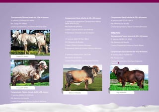 Campeonato Fêmea Jovem de 32 a 36 meses:       Campeonato Vaca Adulta de 48 a 60 meses:        Campeonato Vaca Adulta de 72 a 84 meses:
3º prêmio: ZONARA FIV JMMA                                                                     3º prêmio: IAIA TE VILA RICA
                                               1º prêmio da categoria e Campeã Vaca Adulta
PAI: Tango FIV JMMA                            Geral: BIRUTA CAL                               PAI: Meteoro de Brasília
Criador/proprietário: José Mario Miranda Abd   PAI: Teatro da Silvânia                         Criador/proprietário: Dilson Cordeiro Menezes
                                               Criador: Gabriel Donato de Andrade
                                               Proprietário: Eduardo Luiz de Oliveira          MACHOS:
                                                                                               Campeonato Touro Jovem de 40 a 44 meses:
                                               2º prêmio: KINA FIV VILA RICA                   2º prêmio: GENIO FIV APAG
                                               PAI: Meteoro de Brasília                        PAI: Meteoro de Brasília
                                               Criador: Dilson Cordeiro Menezes                Criador/Proprietário: Antonio Paulo Abate
                                               Proprietário: Maria do Carmo Oliveira Menezes
                                                                                               Campeonato Touro Jovem de 44 a 48 meses:
                                               3º prêmio: HAXILA FIV F. MUTUM                  3º prêmio: FIGO POEMA FIV
       Zonara FIV JMMA
                                               PAI: Teatro da Silvânia                         PAI: Paraíso Caju
                                               Criador/Proprietário: Léo Machado Ferreira      Criador/Proprietário: Henrique Cajazeira
                                                                                               Figueira




       Zonara FIV JMMA

Campeonato Fêmea Jovem de 44 a 48 meses:            Meteoro de Brasília                               Figo Poema FIV
1º prêmio: BEBEL FIV CRISTAL
PAI: Meteoro de Brasília
Criador/Proprietário: Pedro Venâncio Barbosa

                                                                                                                                          Pág.17
 