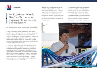 GENOMA                                                De acordo com a coordenadora do Polo de            E os benefícios vão ainda além. Os criadores
                                                                   Excelência em Genética Bovina de Minas             terão mais acesso à nova tecnologia, já que os
                                                                   Gerais, Beatriz Cordenonsi Lopes, a obtenção       custos para avaliar um único animal pelo seu
                                                                   do genoma do zebu leiteiro representa um           genoma serão quase 70 vezes mais baratos

    78ª ExpoZebu: Polo de                                          importante marco na história da pecuária
                                                                   brasileira, “pois permitirá, em um futuro breve,
                                                                                                                      que a avaliação feita pelo teste de progênie.
                                                                                                                      “Considerando que 80% do rebanho brasileiro

    Genética Bovina lança                                          identificar genes de relevância econômica
                                                                   nos animais para incrementar os sistemas de
                                                                                                                      advêm de genética zebuína ou de seus
                                                                                                                      mestiços e que 70% do leite do país vêm de
    mapeamento do genoma                                           produção nacional”.                                rebanhos com diferentes graus de sangue zebu

    do zebu leiteiro
por Patricia Peixoto Bayão - Assessoria de Imprensa ABCZ

O anúncio do sequenciamento do genoma do zebu leiteiro –
raças Gir e Guzerá – a assinatura do termo de cooperação técnica
“Empresas Mineiras para o Mundo” e o lançamento do livro
“Genética Bovina Brasileira: Mercado Internacional e Mapeamento
das Competências e Tecnologias Mineiras” marcaram a tarde
da sexta-feira, dia quatro de maio, na 78ª ExpoZebu. A série de
eventos, organizada pelo Polo de Excelência em Genética Bovina,
aconteceu no Parque Fernando Costa.

O anúncio do “Sequenciamento do Genoma do Zebu Leiteiro
– raças Gir e Guzerá” acontece três anos após a divulgação do
mapeamento do genoma bovino, realizado pela comunidade
científica internacional. Articulado pelo Polo de Excelência em
Genética Bovina e coordenado pela Embrapa Gado de leite, em
parceria com a Fundação Oswaldo Cruz, Epamig e Universidade
Federal de Minas Gerais (UFMG), o Programa Genoma do Zebu
Leiteiro obteve para 2012 recursos da ordem de 1,3 milhões
da Sectes (Secretaria de Estado de Ciência, Tecnologia e Ensino
Superior de Minas Gerais) e da FAPEMIG.
 