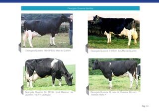 Deangate Queenie (família)




Deangate Queenie 14th BFE93, Mãe de Quentin                    Deangate Queenie 7 BFE91, Avó Mat de Quentin




Deangate Queenie 9th BFE94, Irmã Materna de                    Deangate Queenie 29, neta de Queenie 9th com
Queenie 7 na 14ª Lactação                                      Tittenser Hylke




                                                                                                              Pág. 14
 