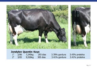 Jondylen Quentin Kaye
 1º   2/06    7,245kg     293 dias     3.78% gordura    3.43% proteína
 2ª   3/05    9,526kg     305 dias     3.41% gordura    3.41% proteína
Comentário do proprietário John Morgan: “Nós possuimos seis filhas de Quentin e elas
indiscutivelmente o melhor grupo de vacas que tivemos nos últimos anos, contin
                                                                         Pág. 15
utilizando ele em todo rebanho.”
 