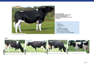 Pai: Holwerda Torello
                                                                                   Mãe: Lakemead Rachel 13th BFE91 (94
                                                                                   tonnes), by Foxhole Panatella
                                                                                   Avó Mat: Lakemead Rachel 4th, by Lovat
                                                                                   Brandysnap




                                                                                      £111 PLI
                                                                                      +366kg Leite
                                                                                      +0.2 V. Produtiva
                                                                                      +1.0 Tipo
                                                                                      +15kg & 0.03% Proteína
                                                                                      Mãe acima de 90.000Kg
                                                                                      Avó Mat acima de 90.000Kg
                                                                                      1EX e 11VG Filhas na primeira geração

                  Lakemead Rancher

FILHAS




                                                                     Peartree Rancher Patty (segunda Lact.)                 No.435 (segunda Lact.)
 Peartree Rancher Marsha (segunda Lact.)   No.470 (Terceira Lact.)




                                                                                                                                                     Pág. 16
 