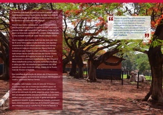 A fazenda onde ficam alojados os touros é aquele tipo de
lugar lindo, silencioso, muito verde, de brisa leve onde dá
vontade de passear para refrescar os pensamentos, sentar      “Depois da gente ficar tanto tempo com
na sombra e ver o tempo passar devagar.                       eles aqui na Central, todo dia, cuidando,
                                                              é duro ver morrer. Quando o Hanuman
Mais do que touros excepcionais, quem visita a central        morreu eu nem fui ver, me deu uma
ABS Pecplan vê a natureza em harmonia com a tecnologia,       tristeza. Mas é coisa da vida né? Como o
pessoas felizes que transmitem isso a quem chega. Ao sair,    Ludy, quem duvidar que ele tá enterrado
quem vai leva mais conhecimento, amigos, bons negócios        aqui eu falo: ajudei a por a terra em cima
e uma vontade enorme de voltar. Muitos sempre voltam.         dele” – Carlos Jr.

Qual o segredo para manter tudo isso tão bom, por mais
de 35 anos? Uma equipe muito dedicada, com algumas
características de torcedores apaixonados que honram
a camisa em todas as circunstâncias. Alguns fazem da
Central sua casa, moram lá, criam seus filhos e dedicam
todo tempo do seu trabalho ao trato dos touros. Outros
são funcionários da empresa há mais de 30 anos, já
aposentaram e continuam trabalhando na ABS. Há pais e
filhos trabalhando juntos, há quem morou fora do Brasil
e voltou pra ABS. Há tratadores que preferem não olhar
quando um touro morre de velhice, depois de ter ficado
mais de 10 anos na fazenda.

Nos trabalhos da produção de sêmen são 22 funcionários
sob a coordenação do Gerente de produção ABS Pecplan, o
médico-veterinário Neimar Severo.

Em média, cada tratador cuida de cerca de 10 touros e
a surpresa é que são os touros que escolhem quem vai
cuidar deles, coletar o sêmen. “Esses touros são como o
animal de estimação da gente, pegamos amor. Cada touro
tem um temperamento, uma personalidade, que combina
melhor com um tratador ou outro. A gente tem que ter
paciência e respeito. Aí eles confiam no tratador, produzem
bem, vivem bastante”, conta “seo Zé Eustáquio”, supervisor
dos tratadores e que já trabalha há 27 anos na fazenda.
                                                                                                       Pág. 19
 
