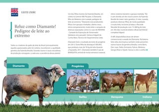 LEITE ZEBU
                                                                   Um dos filhos ilustres da Fazenda Brasília, em   ótimo sistema mamário e garupa nivelada. “Ele
                                                                   coleta na Central ABS Pecplan, é Diamante,       é sem dúvida um dos touros jovens da Fazenda
                                                                   filho de Meteoro com Luzíada, pedigree de        Brasília de maior valor genético. A mãe, Luzíada,
                                                                   leite ao extremo. “Diamante está produzindo      produziu diversas filhas de muita qualidade
                                                                   filhas com garupas niveladas, úberes rasos,      e muito leite, inclusive já bateu o Recorde
    Reluz como Diamante!                                           ótimo temperamento, muito leite e campeãs de     Mundial de produção com 15.388 kg de leite

    Pedigree de leite ao                                           diversas exposições como é o caso de INDIANA
                                                                   - Campeã da Exposição de Governador
                                                                                                                    em 365 dias (controle leiteiro oficial da ESALQ)”,
                                                                                                                    completa Edgard.

    extremo                                                        Valadares ano passado”, destaca Edgard da
                                                                   Cunha Neto, Técnico do Departamento Leite.
                                                                                                                    A ABS disponibiliza doses de sêmen
                                                                                                                    convencional e sexado de Diamante. Na bateria
                                                                   Diamante terá o resultado do teste de progênie   leite zebu da empresa também estão presentes
Todos os criadores de gado de leite do Brasil, principalmente      em 2013. Outra filha de destaque é BALIKA,       outros touros da genética Brasília, como Boris,
aqueles apaixonados pelo Gir Leiteiro, reconhecem a qualidade      que produziu mais de 30 kg de leite durante      Don Juan, Delta, Emissário, Falcon, Meteoro,
genética da Fazenda Brasília. Grandes touros e vacas recordistas   a Expozebu 2011. Diamante também é pai de        Gengis Khan e Hyank. Acesse o site e confira!
de produção consagram, a cada ano, a excelência desse plantel.     BANQUETA, animal de muita estrutura corporal,




  Diamante                                                             Progênies




                                                                                Balika                              Banqueta                                  Indiana


                                                                                                                                                             Pág. 06
 