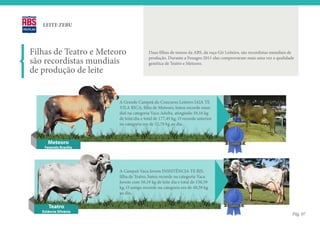 LEITE ZEBU




Filhas de Teatro e Meteoro              Duas filhas de touros da ABS, da raça Gir Leiteiro, são recordistas mundiais de

são recordistas mundiais                produção. Durante a Fenagro 2011 elas comprovaram mais uma vez a qualidade
                                        genética de Teatro e Meteoro.
de produção de leite


                        A Grande Campeã do Concurso Leiteiro IAIA TE
                        VILA RICA, filha de Meteoro, bateu recorde mun-
                        dial na categoria Vaca Adulta, atingindo 59,16 kg
                        de leite/dia e total de 177,49 kg. O recorde anterior
                        na categoria era de 52,79 kg ao dia.



      Meteoro                                                                       CAMPEÃ
    Fazenda Brasilia




                        A Campeã Vaca Jovem INSISTÊNCIA TE BJS,
                        filha de Teatro, bateu recorde na categoria Vaca
                        Jovem com 50,19 kg de leite dia e total de 150,59
                        kg. O antigo recorde na categoria era de 49,39 kg
                        ao dia.


      Teatro                                                                       CAMPEÃ

   Estância Silvânia
                                                                                                                      Pág. 07
 