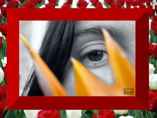 Apaixone-se  PELAS BESTEIRAS SAUDÁVEIS   que passam por sua mente entre um e outro  momento de estresse, elas ajudam a sobreviver. 