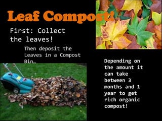 Leaf Compost!
First: Collect
the leaves!
   Then deposit the
   Leaves in a Compost
   Bin…                  Depending on
                         the amount it
                         can take
                         between 3
                         months and 1
                         year to get
                         rich organic
                         compost!
 
