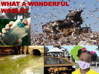 WHAT A WONDERFUL
WORLD?
 