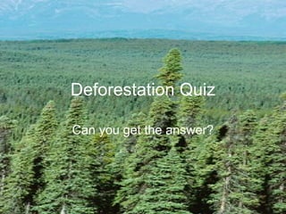 Deforestation Quiz Can you get the answer? 