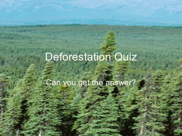 Absolutely totally correct deforestation quiz