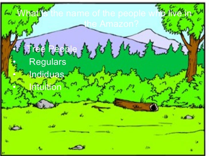 Absolutely totally correct deforestation quiz