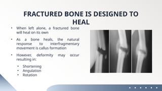 ABSOLUTE & RELATIVE STABILITY ortho.pptx