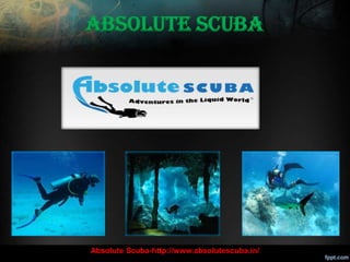 Absolute Scuba



.




    Absolute Scuba-http://www.absolutescuba.in/
 