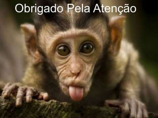 Obrigado Pela Atenção
 