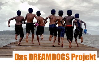 Das DREAMDOGS Projekt 