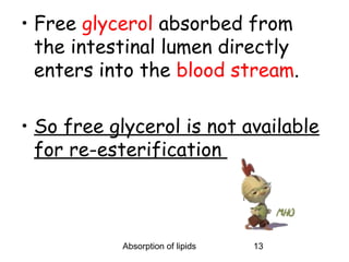 • Free glycerol absorbed from
  the intestinal lumen directly
  enters into the blood stream.

• So free glycerol is not available
  for re-esterification



           Absorption of lipids   13
 