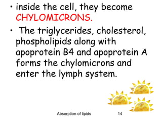 • inside the cell, they become
  CHYLOMICRONS.
• The triglycerides, cholesterol,
  phospholipids along with
  apoprotein B4 and apoprotein A
  forms the chylomicrons and
  enter the lymph system.



           Absorption of lipids   14
 