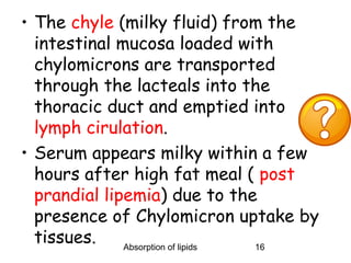 • The chyle (milky fluid) from the
  intestinal mucosa loaded with
  chylomicrons are transported
  through the lacteals into the
  thoracic duct and emptied into
  lymph cirulation.
• Serum appears milky within a few
  hours after high fat meal ( post
  prandial lipemia) due to the
  presence of Chylomicron uptake by
  tissues.    Absorption of lipids 16
 