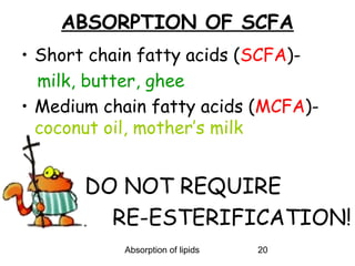 ABSORPTION OF SCFA
• Short chain fatty acids (SCFA)-
  milk, butter, ghee
• Medium chain fatty acids (MCFA)-
  coconut oil, mother’s milk


       DO NOT REQUIRE
         RE-ESTERIFICATION!
           Absorption of lipids   20
 