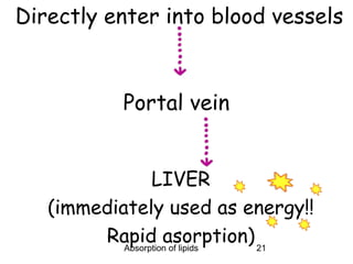 Directly enter into blood vessels



           Portal vein


                 LIVER
   (immediately used as energy!!
        Rapid asorption) 21
           Absorption of lipids
 