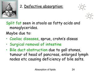2. Defective absorption:



Split fat seen in stools as fatty acids and
  monoglycerides.
Maybe due to:
• Coeliac diseases, sprue, crohn’s diseas
• Surgical removal of intestine
• Bile duct obstruction due to gall stones,
  tumour of head of pancreas, enlarged lymph
  nodes etc causing deficiency of bile salts.

               Absorption of lipids   24
 