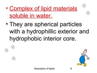 • Complex of lipid materials
  soluble in water.
• They are spherical particles
  with a hydrophillic exterior and
  hydrophobic interior core.



           Absorption of lipids   6
 