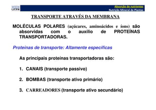 MOLÉCULAS POLARES (açúcares, aminoácidos e íons) são
absorvidas com o auxílio de PROTEÍNAS
TRANSPORTADORAS.
Proteínas de transporte: Altamente específicas
As principais proteínas transportadoras são:
1. CANAIS (transporte passivo)
2. BOMBAS (transporte ativo primário)
3. CARREADORES (transporte ativo secundário)
TRANSPORTE ATRAVÉS DA MEMBRANA
Absorção de nutrientes
Nutrição Mineral de Plantas
 