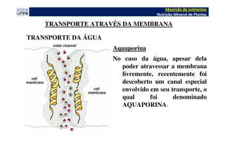 No caso da água, apesar dela
poder atravessar a membrana
livremente, recentemente foi
descoberto um canal especial
envolvido em seu transporte, o
qual foi denominado
AQUAPORINA.
TRANSPORTE DA ÁGUA
Absorção de nutrientes
Nutrição Mineral de Plantas
TRANSPORTE ATRAVÉS DA MEMBRANA
Aquaporina
 