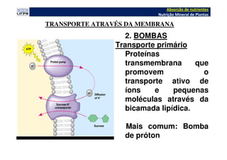 2. BOMBAS
Transporte primário
Proteínas
transmembrana que
promovem o
transporte ativo de
íons e pequenas
moléculas através da
bicamada lipídica.
Mais comum: Bomba
de próton
TRANSPORTE ATRAVÉS DA MEMBRANA
Absorção de nutrientes
Nutrição Mineral de Plantas
 